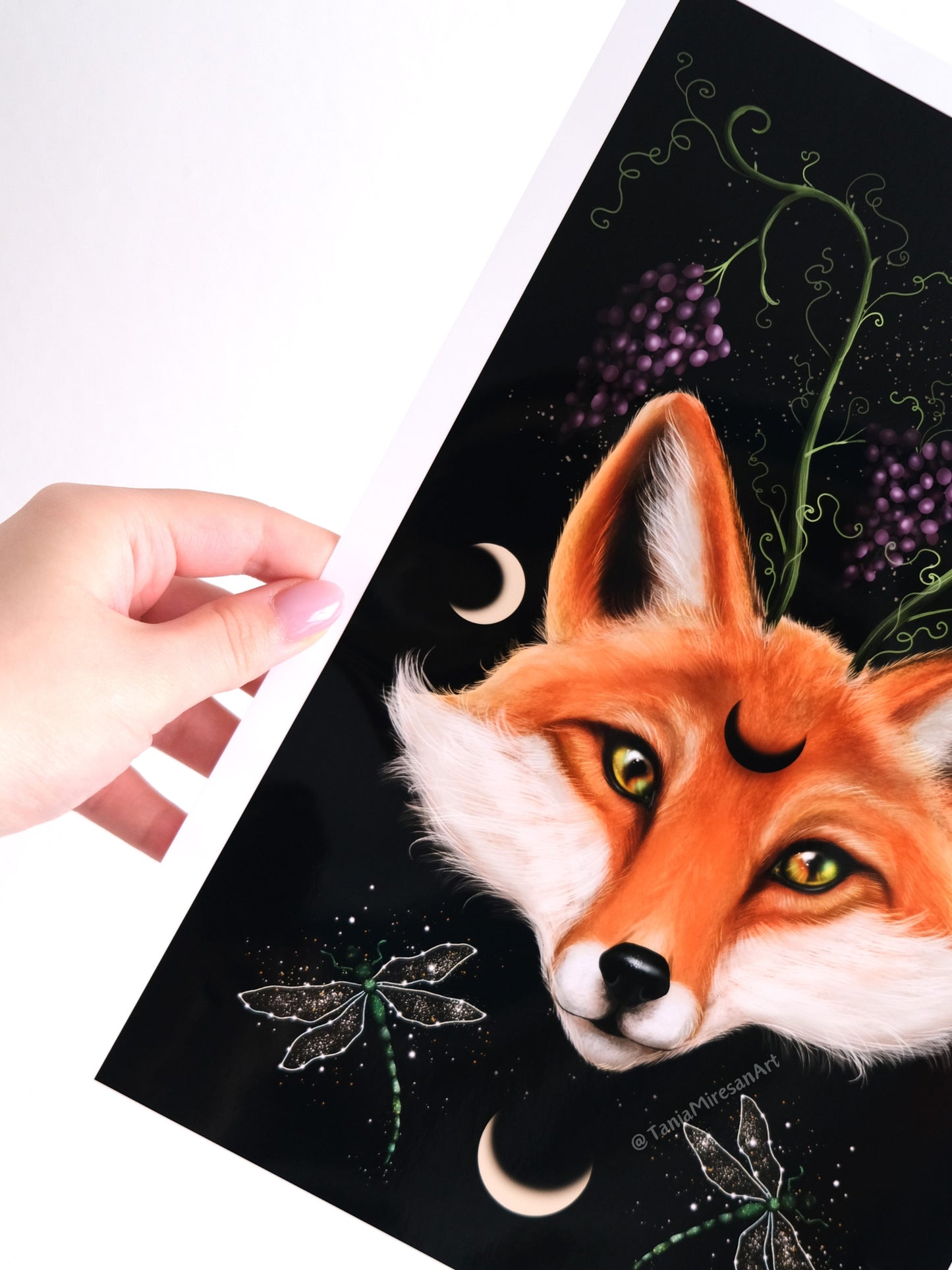 Magic Fox Glossy Print